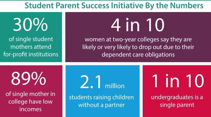 Student Parents by the Numbers Graphic 2017.JPG